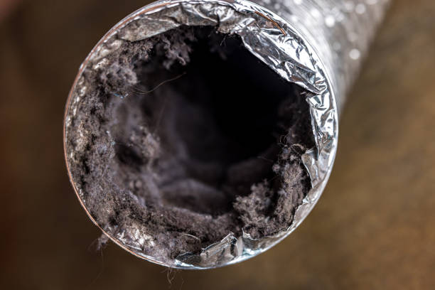 Best Duct Cleaning Specialists  in Sherrelwood, CO